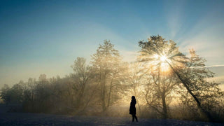 Why Modern Life Feels So Misaligned (And What To Do About It) - Nolava Designs